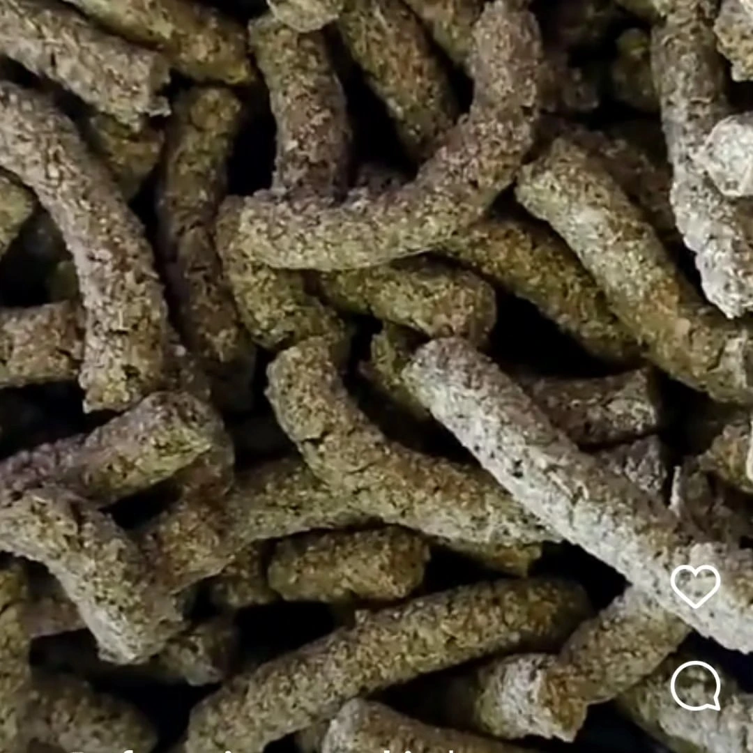 Pelatihan Nugget Ikan Nila 4